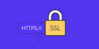 We will install a SSL into your website.